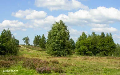 Trupbacher Heide