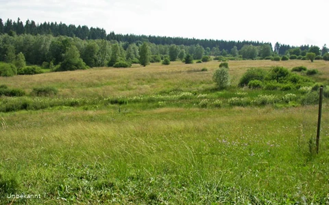Blick über die Ginsberger Heide